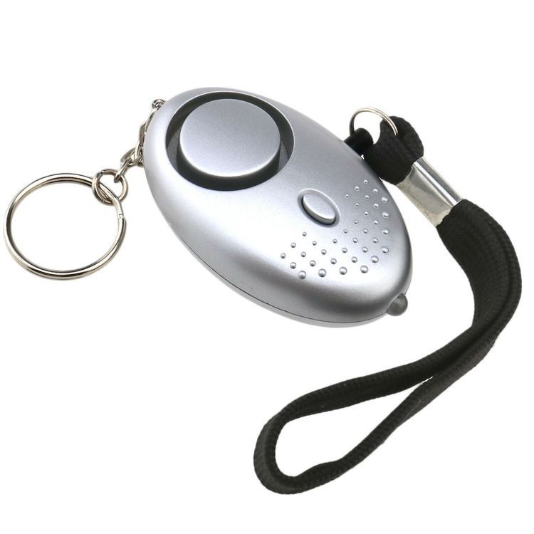 Alarm Key Chain