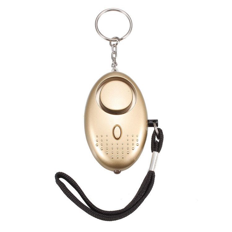 Alarm Key Chain